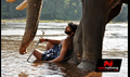 Gaja Raju Picture