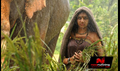 Gaja Raju Picture