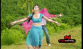 Hai Haiga Picture