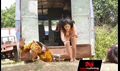 Ilamai Oonjal Picture