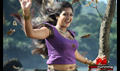 Jakkamma Picture