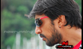 Kicha Picture