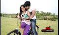 Love Cycle Picture