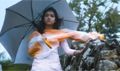 Manathe Vellithinkal