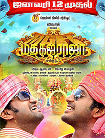 All about Mada Gaja Raja