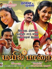 All about Mayil Paarai