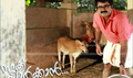 Namukku Parkkaan Picture