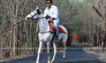 Namukku Parkkaan Picture