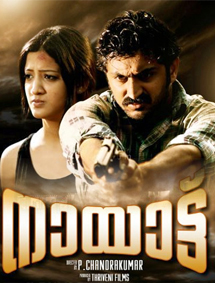 All about Nayattu