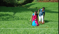 Ninaivugal Azhivathillai Picture