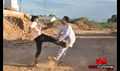 Pattikattu Mappillai Picture