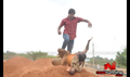 Pattikattu Mappillai Picture