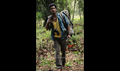 Samar Picture