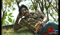 Selathuponnu Picture