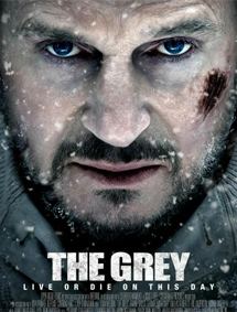 All about The Grey