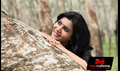 Jabardasth Picture