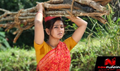 Panivizhum Malarvanam Picture