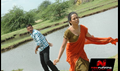 Theal Picture