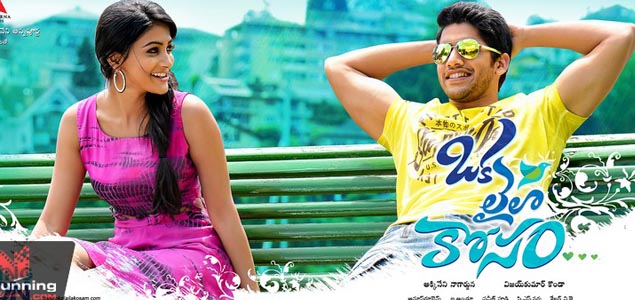 Oka Laila Kosam (2014) Telugu Movie - NOWRUNNING