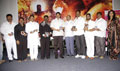 Music Launch Of  Punnami Nagu