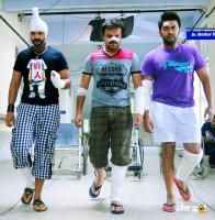 'Three Kings' to arrive on the 27th of May