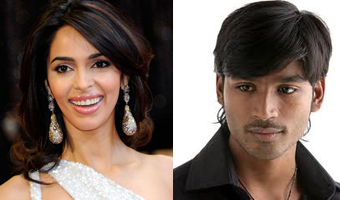 Dhanush, Mallika named hottest vegetarians