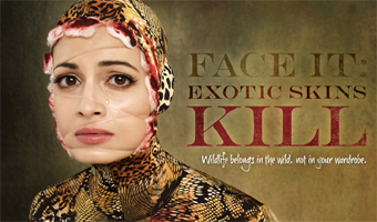 Dia Mirza poses in ad against animal skin trade