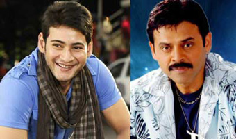 Venky, Mahesh film from December