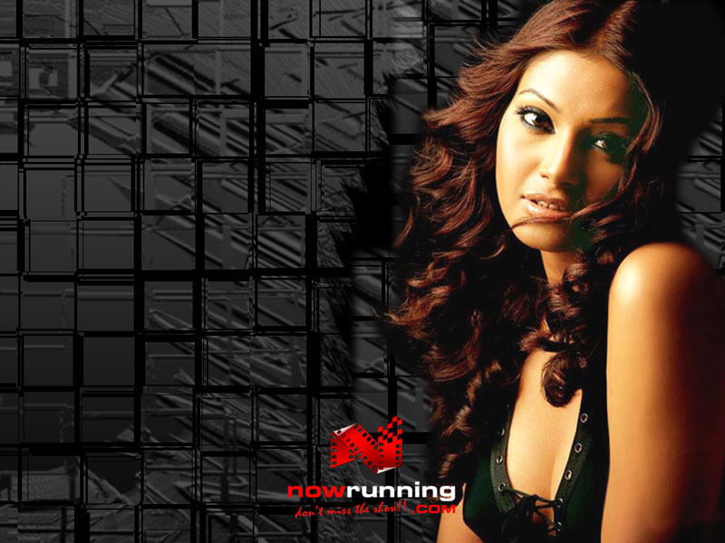 Bipasha Basu HD Wallpaper - Models Female & People Background Wallpapers on  Desktop Nexus (Image 2147349)