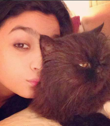 Selfie fanatics of Bollywood