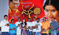 Dhanam Audio Release Function - Dhanam Event Photos