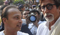 Bollywood condoles death of real 'tiger'