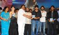 Julayi Audio Launch - Julayi Event Photos