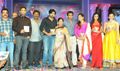 Naayak Audio launch - Naayak Event Photos