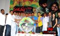 Naluguru Snehithulu Katha Movie Audio Release - Naluguru Snehitula Katha Event Photos