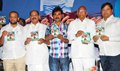 Narasimha Raju Movie Audio Release - Narasimha Raju Event Photos