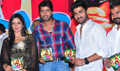 Nuvva Nena Movie Audio Launch - Nuvva Nena Event Photos