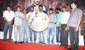 Samar Audio Launch - Samar Event Photos