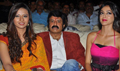 Srimannarayana Triple Platinum Function - Srimannarayana Event Photos