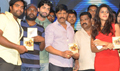 Amma Nana Ooru Velithe Audio Launch - Amma Nanna Oorelithe Event Photos