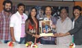 Anaganaga Movie Platinum Disc Function - Anaganaga Event Photos