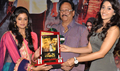 Chandi Movie Platinum Disc Function - Chandi Event Photos