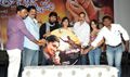 Ela Cheppanu Audio Launch - Ela Chapanu Event Photos