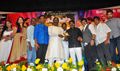 Kangaroo Movie Audio Launch & Press Meet  - Kangaroo