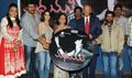 Madhumati Audio Function - Madhumati Event Photos