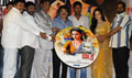 Nadigayin Diary Movie Audio Launch - Nadigayin Diary Event Photos