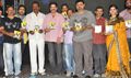 Nenu Chaala Worest Audio Release - Veedu Chaala Worest Event Photos