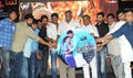 Palnadu Audio Release - Palnadu Event Photos