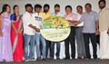 Pannaiyarum Padminiyum Audio Launch - Pannaiyarum Padminiyum Event Photos