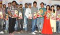 Prema Ishq Kadal Movie Platinum - Prema Ishq Kaadhal Event Photos